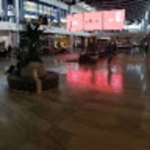 Meet your Posher, Denny